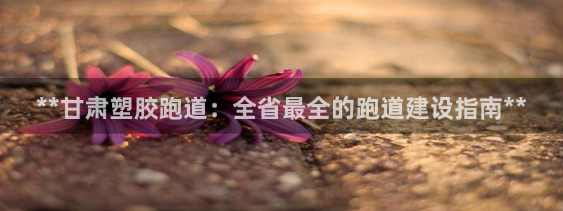 红足一:**甘肃塑胶跑道:全省最全的跑道建设指南**