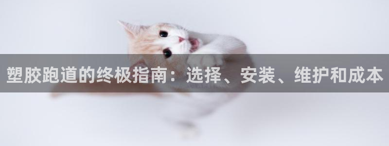 红足一1世比分:塑胶跑道的终极指南:选择、安装、维护和成本