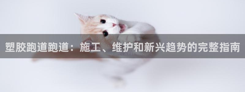 333814红·足一世比分:塑胶跑道跑道:施工、维护和新兴趋势的完整指南