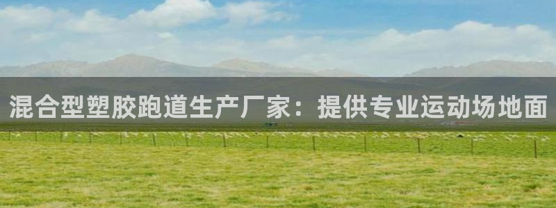 红足一1世比分:混合型塑胶跑道生产厂家:提供专业运动场地面