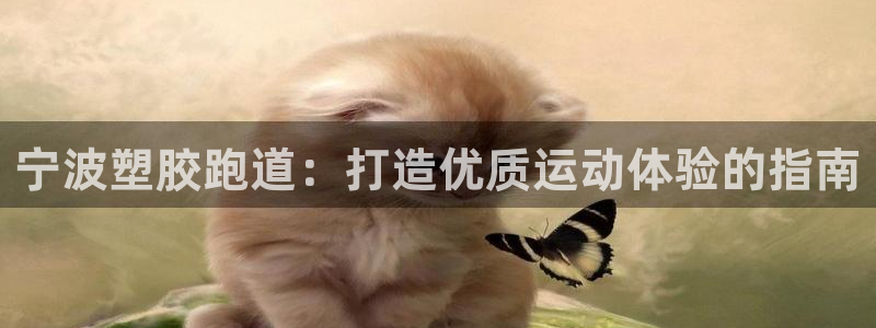 红足一1世开奖记录:宁波塑胶跑道:打造优质运动体验的指南