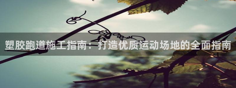 红足一1世皇冠:塑胶跑道施工指南:打造优质运动场地的全面指南