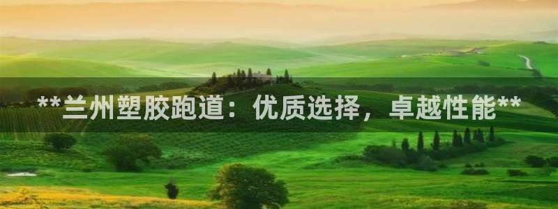 红足1一世红:**兰州塑胶跑道:优质选择,卓越性能**