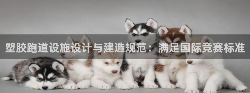红足一1世即时比分:塑胶跑道设施设计与建造规范:满足国际竞赛标准