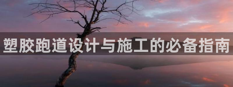 红足一生世:塑胶跑道设计与施工的必备指南