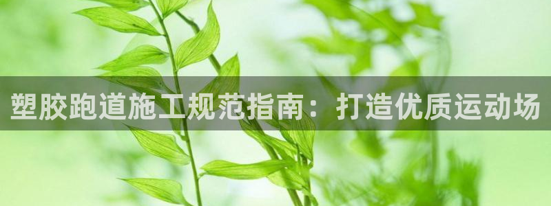 红足1世手足球比分:塑胶跑道施工规范指南:打造优质运动场