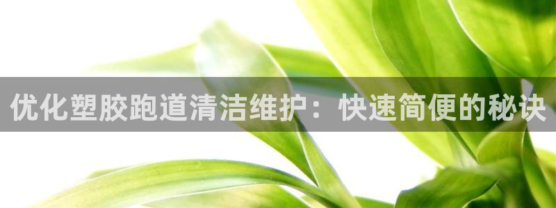 红足1世足球比分网址