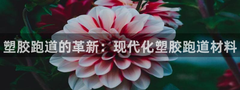 红足一1世平台