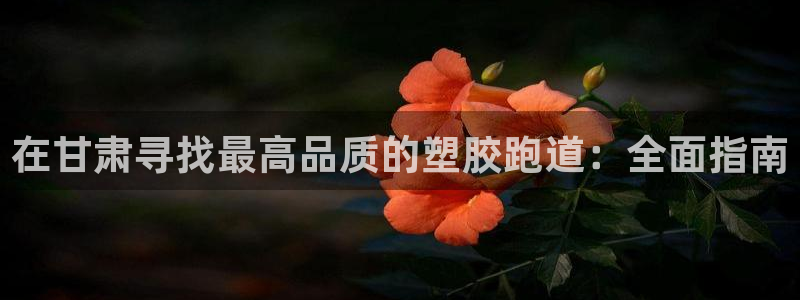 红足一1世