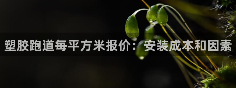 红足1一世开奖版