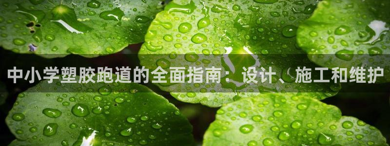 红足体育网