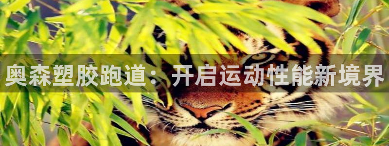 红足一1世比分球探