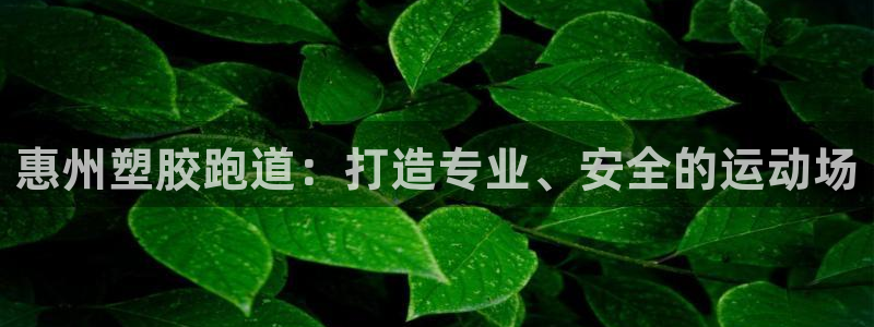 红足一1世66814新宝