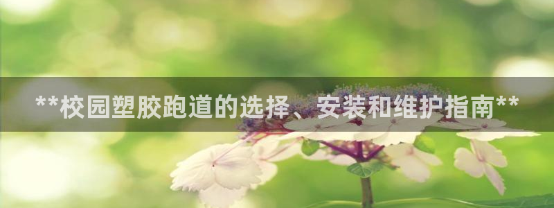 红足1世手机板