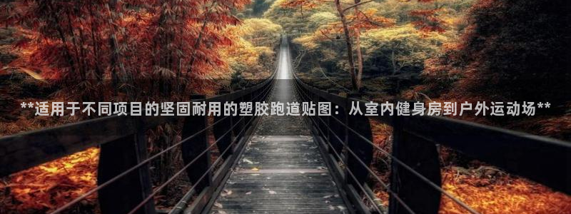 红足1世手足球比分
