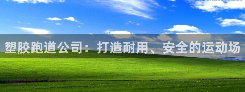 百度红足一1是什么样子的