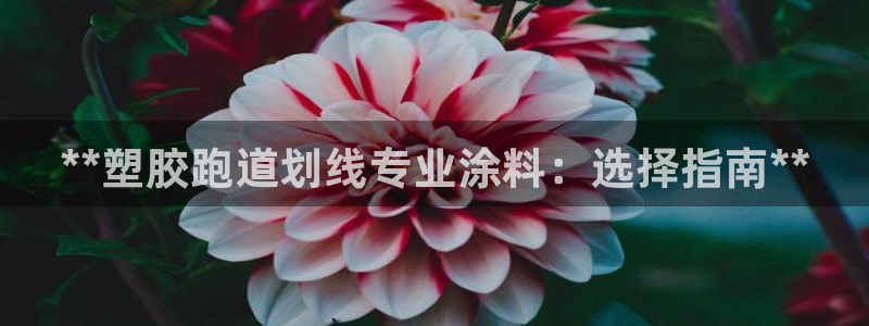 红足l一世开奖现场62ty