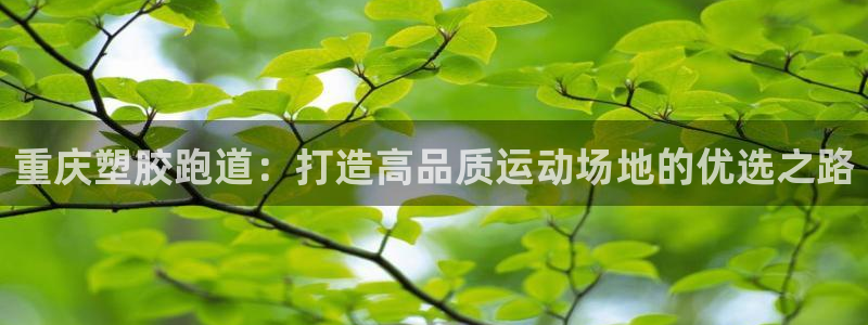 红足1世足球比分 localhost