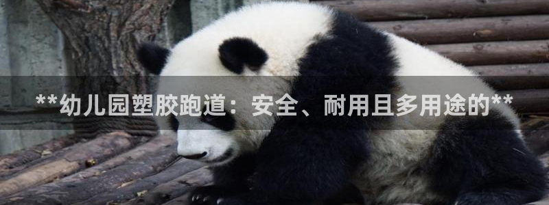 红足1世足球比分预测