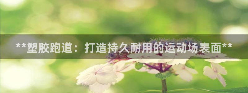 红世一足球比分