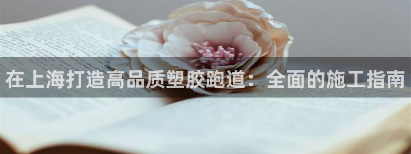 红姐现场直播开奖记录