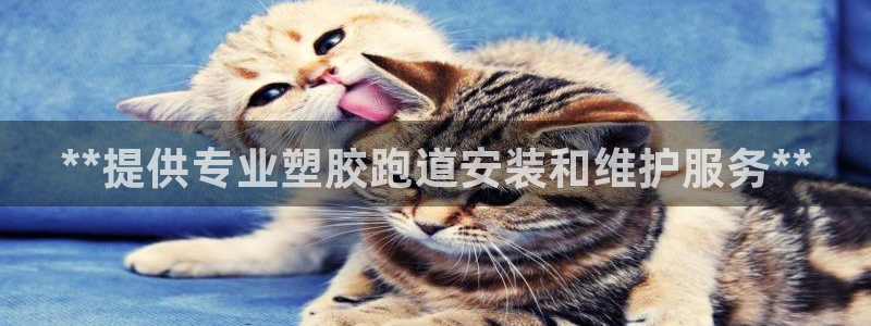 66814红足一66814世