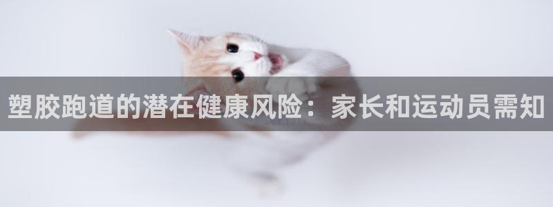 新2足球平台出租网站