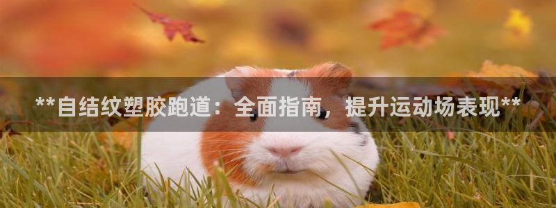 红足1世足球网址