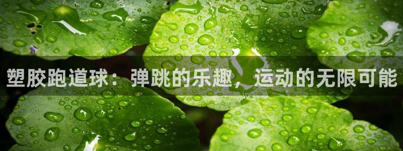 红足1世官网