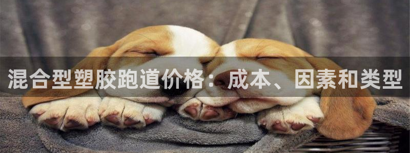 红足1世足球