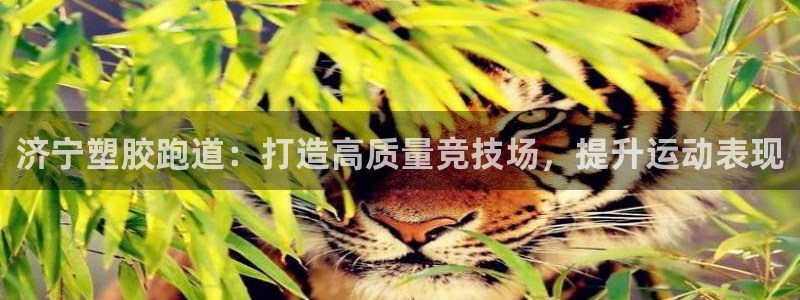 66814红足一66814世