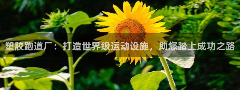 红足 世足球手机网：塑胶跑道厂：打造世界级运动设施，助您踏上成功之路