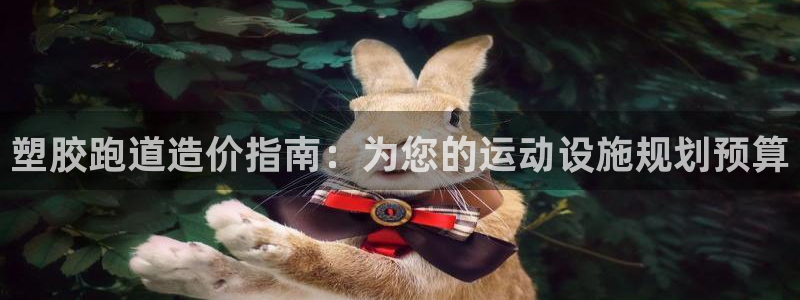 百度红足一1是为什么:塑胶跑道造价指南:为您的运动设施规划预算