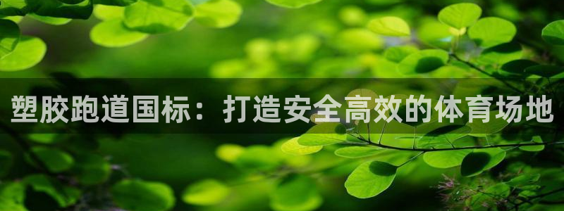 红足1世1站：塑胶跑道国标：打造安全高效的体育场地