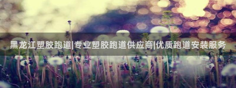 红足1世足球比分预测
