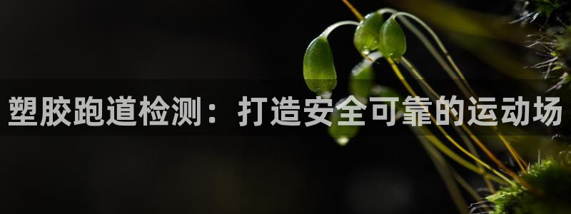 红足一1世手机版新皇冠:塑胶跑道检测:打造安全可靠的运动场