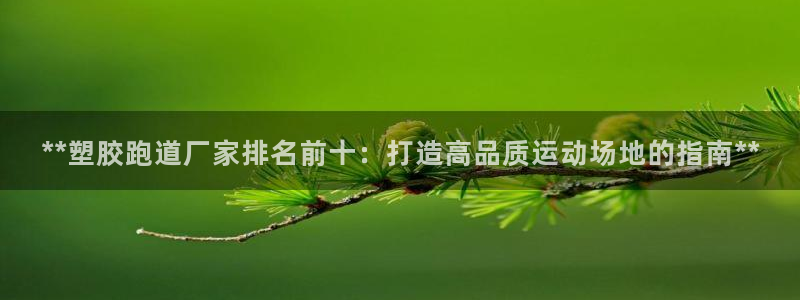 红足一1世皇冠:**塑胶跑道厂家排名前十:打造高品质运动场地的指南**