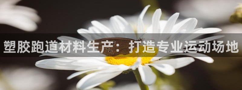 55814红足1世:塑胶跑道材料生产:打造专业运动场地