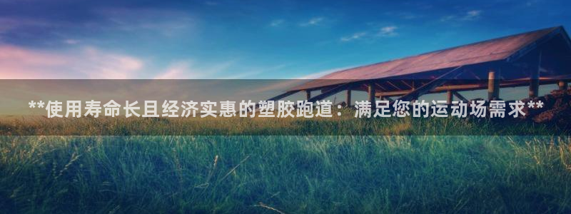 红足1世手机下载:**使用寿命长且经济实惠的塑胶跑道:满足您的运动场需求**