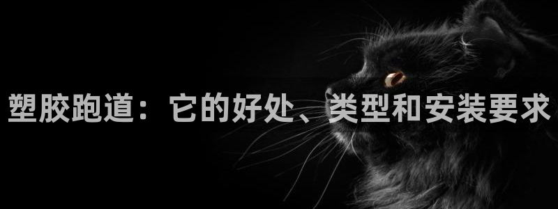 红足一1世官网:塑胶跑道:它的好处、类型和安装要求