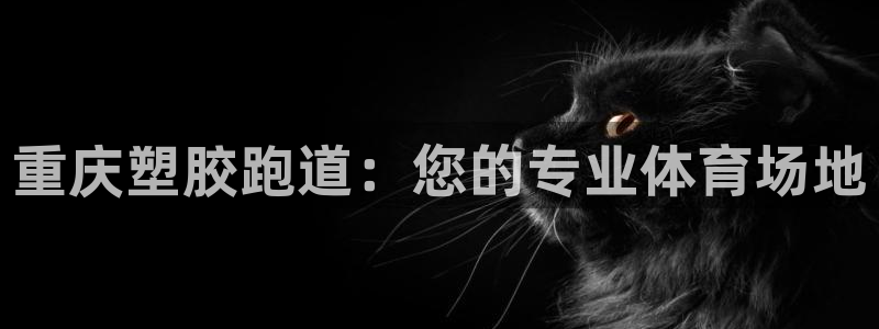 红足足球网:重庆塑胶跑道:您的专业体育场地