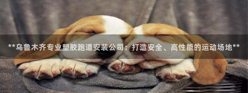 777814红·足一世:**乌鲁木齐专业塑胶跑道安装公司:打造安全、高性能的运动场地**