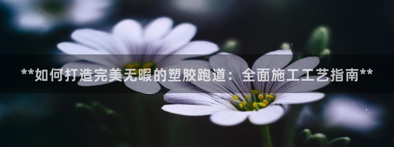 红足一球:**如何打造完美无暇的塑胶跑道:全面施工工艺指南**