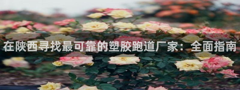 红足1世足球网址