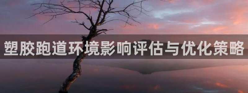 红足一1世666814足球:塑胶跑道环境影响评估与优化策略
