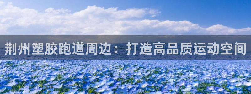 红足1世官网：荆州塑胶跑道周边：打造高品质运动空间