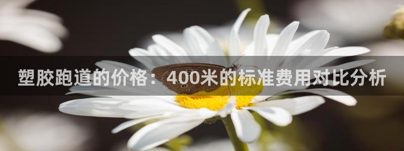 红足i世足球手机网:塑胶跑道的价格:400米的标准费用对比分析
