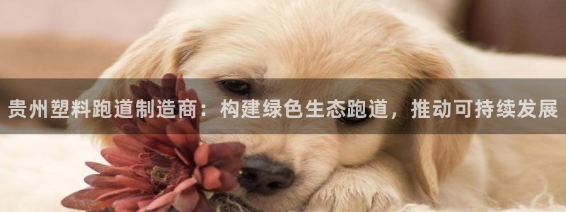 333814红·足一世比分:贵州塑料跑道制造商:构建绿色生态跑道,推动可持续发展