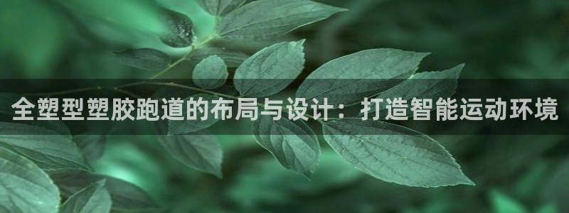 红足l一世开奖现场62ty：全塑型塑胶跑道的布局与设计：打造智能运动环境