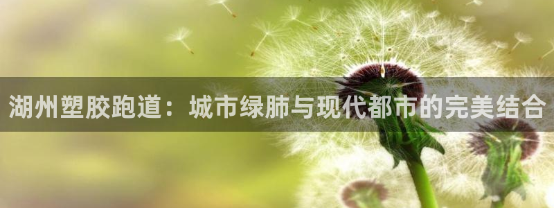 百度红足一1世：湖州塑胶跑道：城市绿肺与现代都市的完美结合